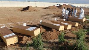 Relacionada 35188.jpg