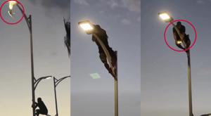 Relacionada rescate-gaviota.jpg