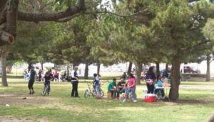 Relacionada whatsapp-image-2026-04-10-at-110038-am.jpg