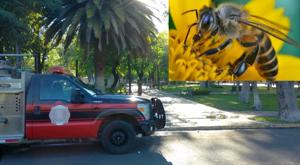 Relacionada descarga-9.jpg