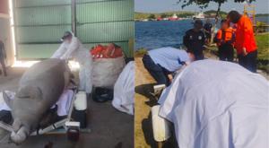 Relacionada descarga-11.jpg