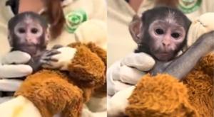 Thumb dcji4hsvmaao5cv