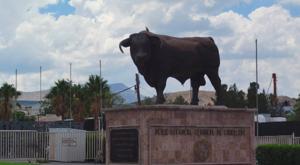 Relacionada union-ganadera.jpg