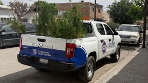 Relacionada whatsapp-image-2026-04-11-at-73232-am.jpg