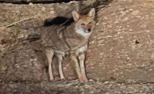 Relacionada whatsapp-image-2026-04-11-at-73828-am.jpg