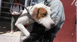 Relacionada screenshot-2026-04-11-103517-1.jpg