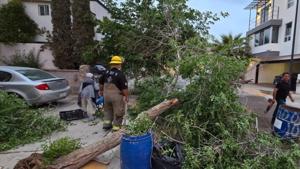 Relacionada whatsapp-image-2026-04-11-at-102618-am.jpg