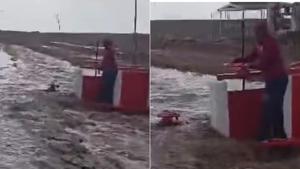 Relacionada photo-output.jpg