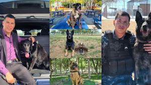 Relacionada k9-jubilados-4.jpg