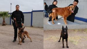 Relacionada k9-nuevos.jpg