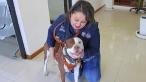 Relacionada 64e6838b-fbb7-4c58-b9a1-bf538455b7f5.jpg