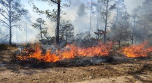 Relacionada incendio.jpg