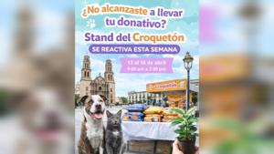 Relacionada inshot_20260413_083900618.jpg