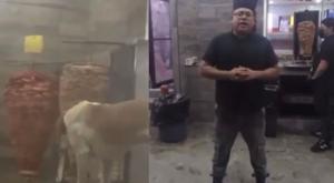 Relacionada perro-comiendo-del-trompo-en-taqueria-en-la-gomez-morin.jpg