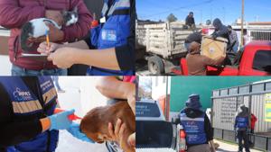 Relacionada inshot_20260413_094305645.jpg