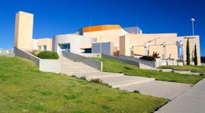 Relacionada principal_244406-chihuahua.jpg