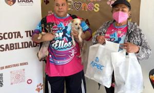 Relacionada whatsapp-image-2026-04-13-at-105113-am.jpg