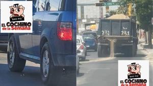 Relacionada cochinos.jpg