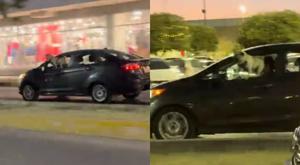 Relacionada perro-pug.jpg