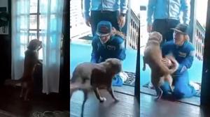 Relacionada perrita.jpg