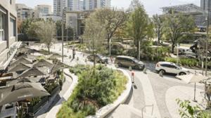 Relacionada arboleda.jpg