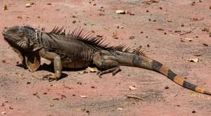 Thumb dcji4hsvmaao5cv