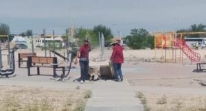 Relacionada 69de57918cc0d__69de57918cc0f.jpg