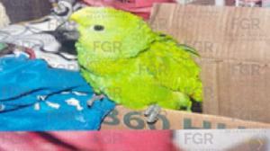 Relacionada 878f8cbe-dfca-44e1-a037-794ff98b9fd7.jpg