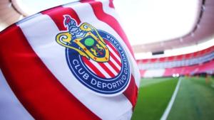 Relacionada screenshot-2026-04-14-200226-1.jpg