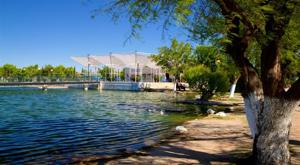 Relacionada principal_244463-central-park-chihuahua.jpg