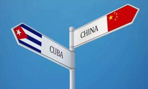 Relacionada whatsapp-image-2026-04-15-at-12437-pm.jpg