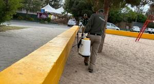 Relacionada fumigacion-ecologia.jpg