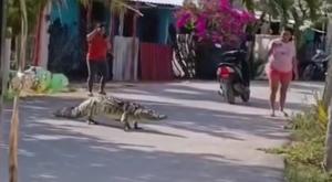 Thumb dcji4hsvmaao5cv