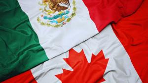 Relacionada 9233c7f8-174c-4e0e-a670-314e9a1c7693.jpg