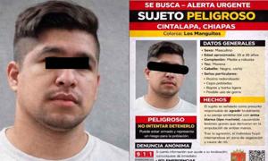 Relacionada whatsapp-image-2026-04-16-at-123703-pm.jpg