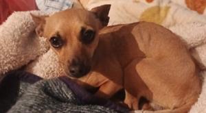 Relacionada benito.jpg