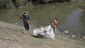 Relacionada 69e14143487d9__69e14143487da.jpg