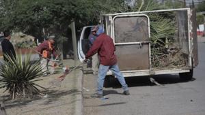 Relacionada camellon.jpg