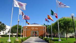 Relacionada diseno-sin-titulo.jpg