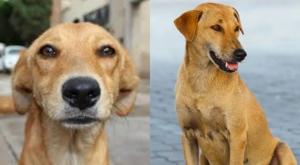 Thumb dcji4hsvmaao5cv