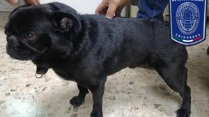 Relacionada whatsapp-image-2026-04-17-at-122511-1.jpg