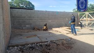 Relacionada whatsapp-image-2026-04-17-at-141146.jpg