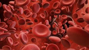 Relacionada screenshot-2026-04-17-141831-1.jpg