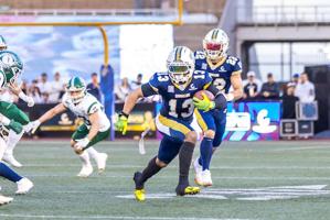 Relacionada vs-osos.jpg