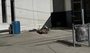 Relacionada whatsapp-image-2026-04-18-at-125810-pm.jpg