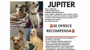 Relacionada inshot_20260419_184023254.jpg