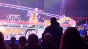 Thumb dcji4hsvmaao5cv