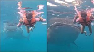 Relacionada fotojet-6.jpg