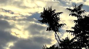 Relacionada clima21abril1.jpg