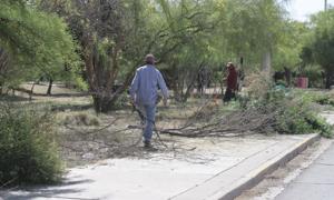 Relacionada whatsapp-image-2026-04-21-at-102037-am.jpg